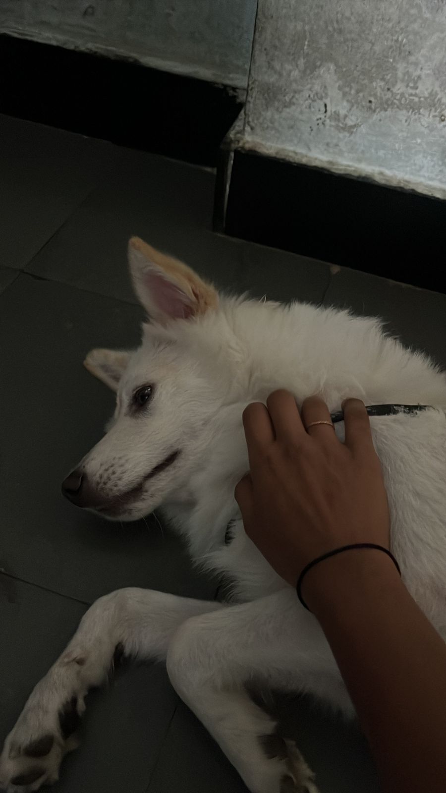 He is fear little bit